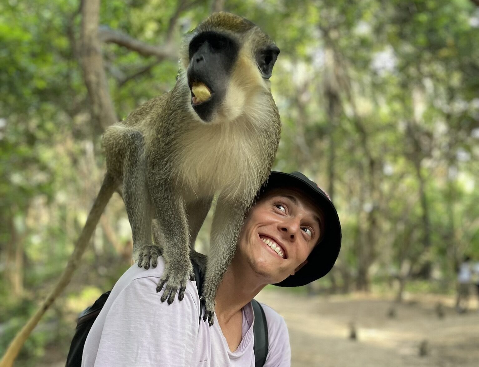 monkey and me