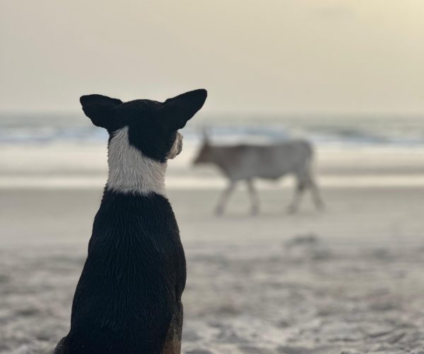 whatsapp image 2025 08 26 at 13.20.40 569f30ef