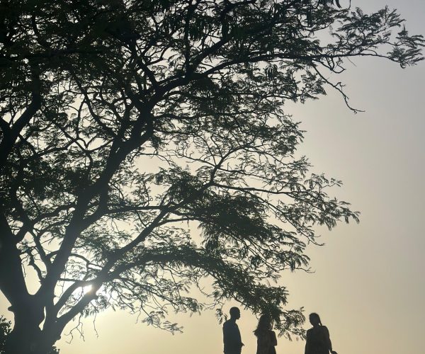 whatsapp image 2025 08 26 at 13.20.40 f5a3a33a