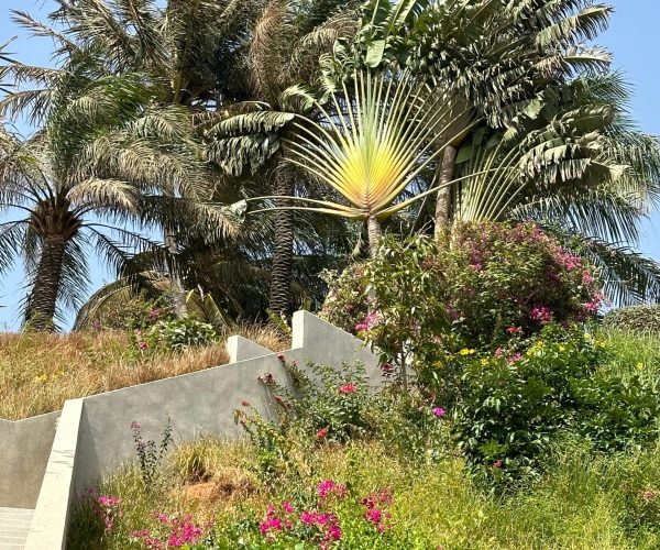 whatsapp image 2025 08 26 at 13.20.41 ffb16381