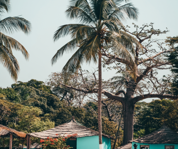 chez claude bissau website kompr