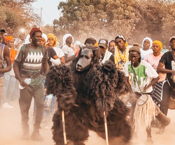 gambia cultural festival gorilla