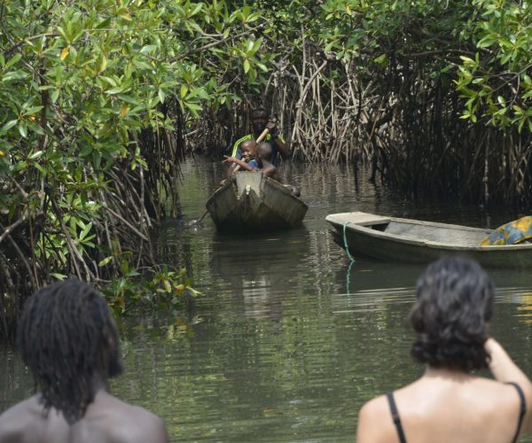 gambia suri website kompr.