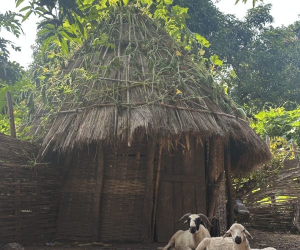 kounsy village kompr