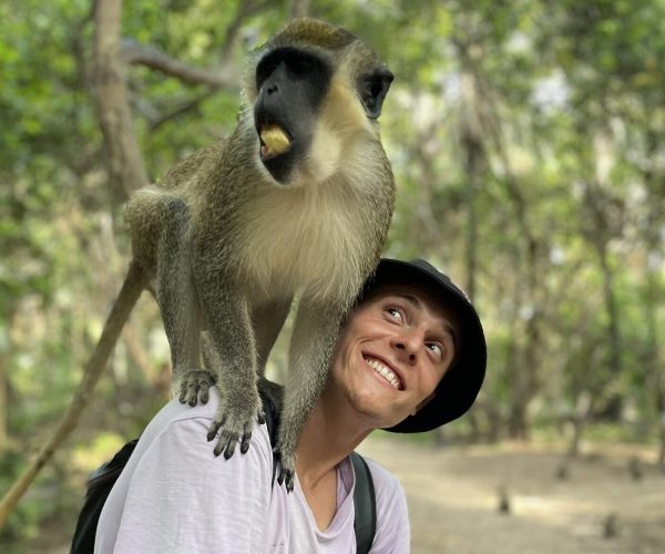 monkey and me