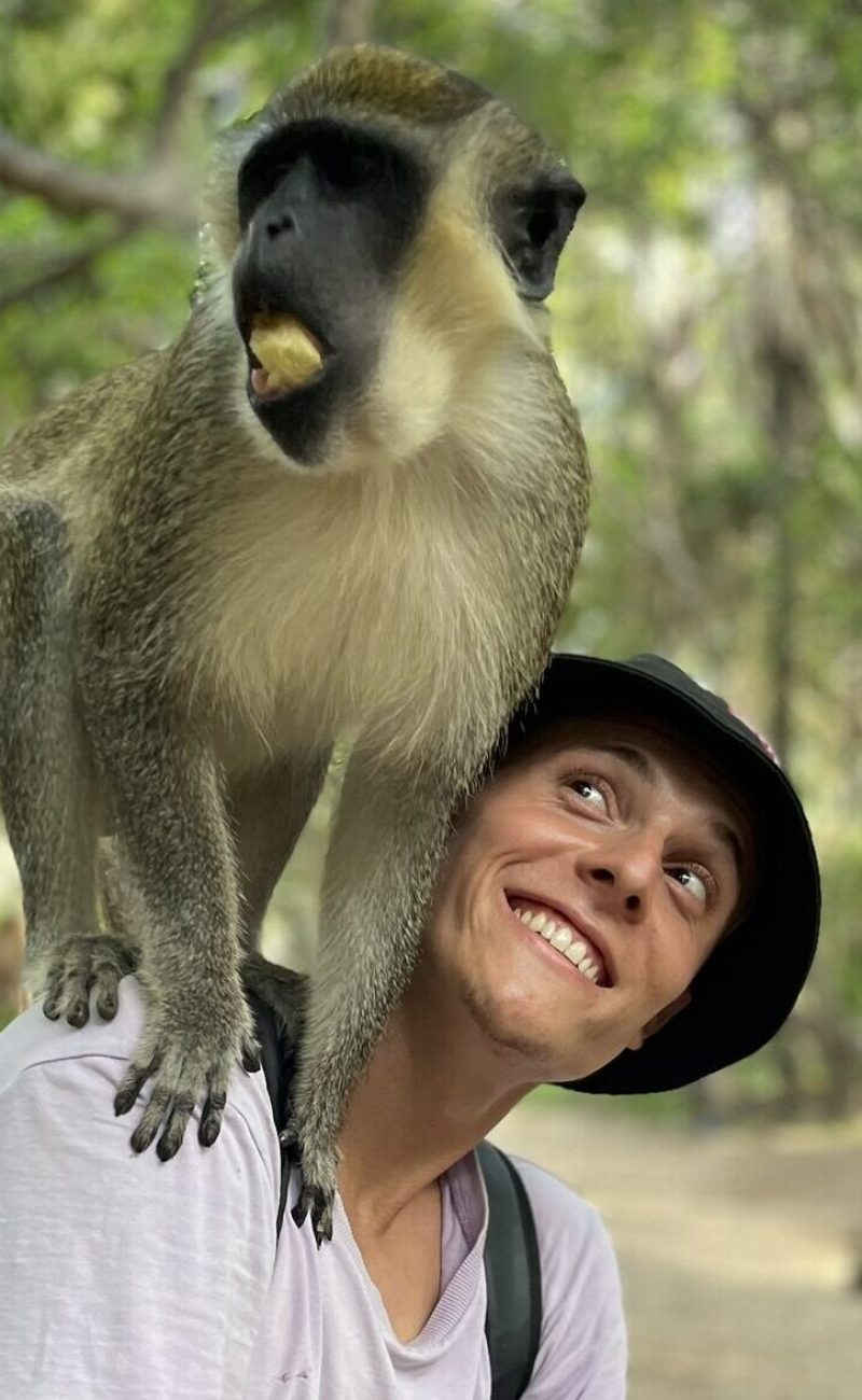 monkey and me