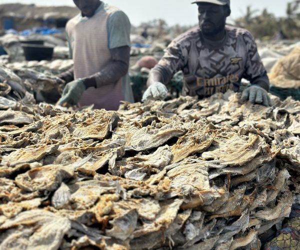 senegal fisherman